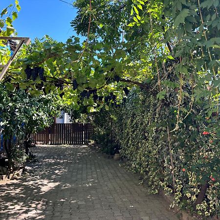 Downtown Guest House Κουτάισι Εξωτερικό φωτογραφία