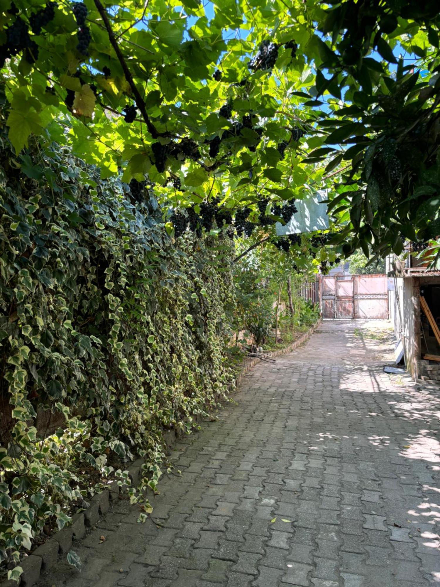 Downtown Guest House Κουτάισι Εξωτερικό φωτογραφία