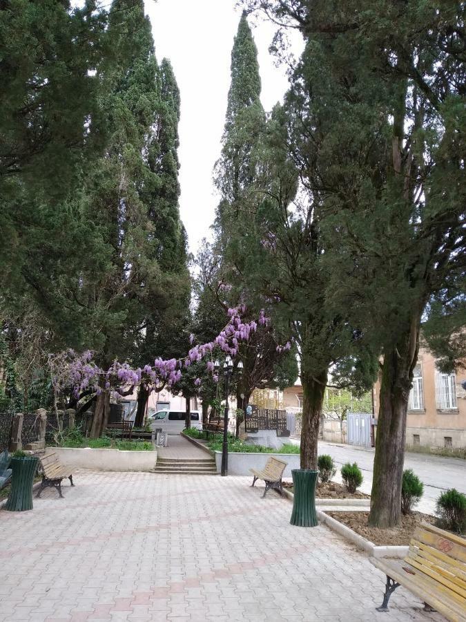 Downtown Guest House Κουτάισι Εξωτερικό φωτογραφία